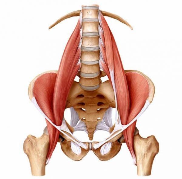 Postural Yoga